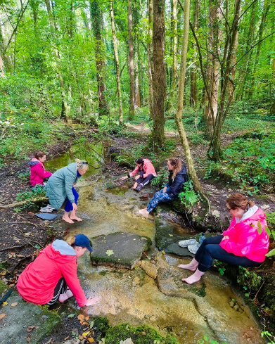 Yoga and Wellness Classes